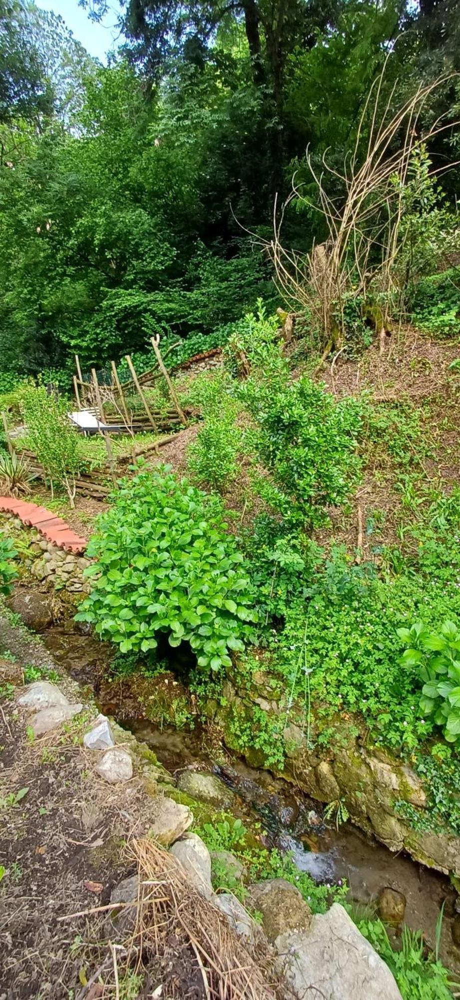 La Casetta Nel Verde Como Luaran gambar